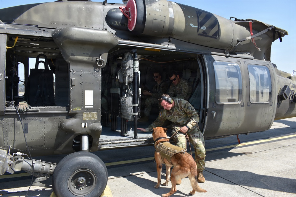 Wiesbaden Veterinary Treatment Facility Hosts K9 Tactical Combat Casualty Care and UH-60 Familiarization Training