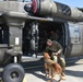 Wiesbaden Veterinary Treatment Facility Hosts K9 Tactical Combat Casualty Care and UH-60 Familiarization Training