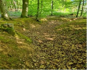 Sweeping Away Outdated Rules: Army Launches New Historic Preservation