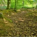 Sweeping Away Outdated Rules: Army Launches New Historic Preservation