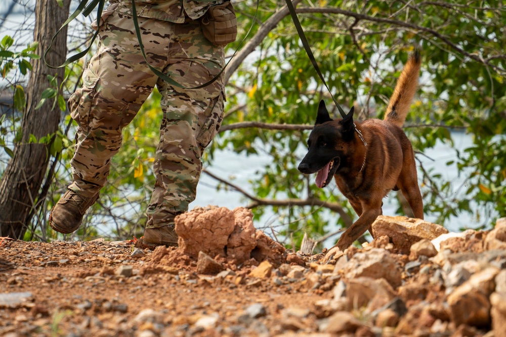 PANAMAX 2026 strengthens partnerships through multinational canine training
