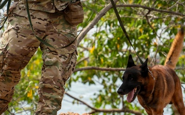PANAMAX 2026 strengthens partnerships through multinational canine training