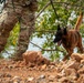 PANAMAX 2026 strengthens partnerships through multinational canine training