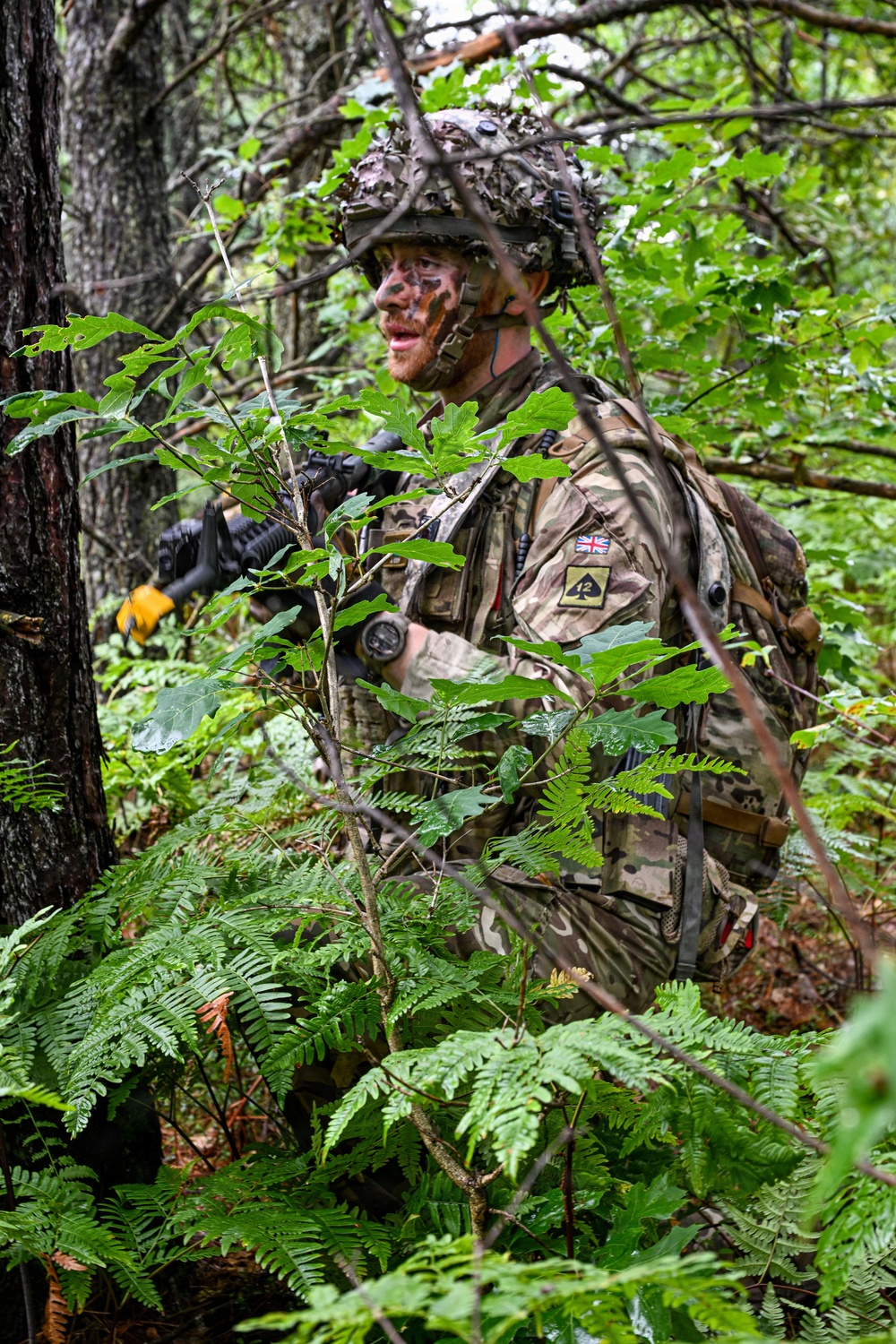 3rd Royal Welsh perform STX lanes during Northern Strike 26