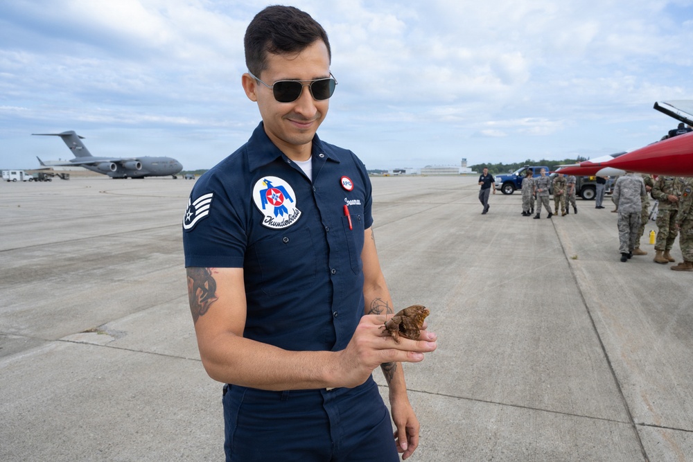 Thunderbirds Arrival