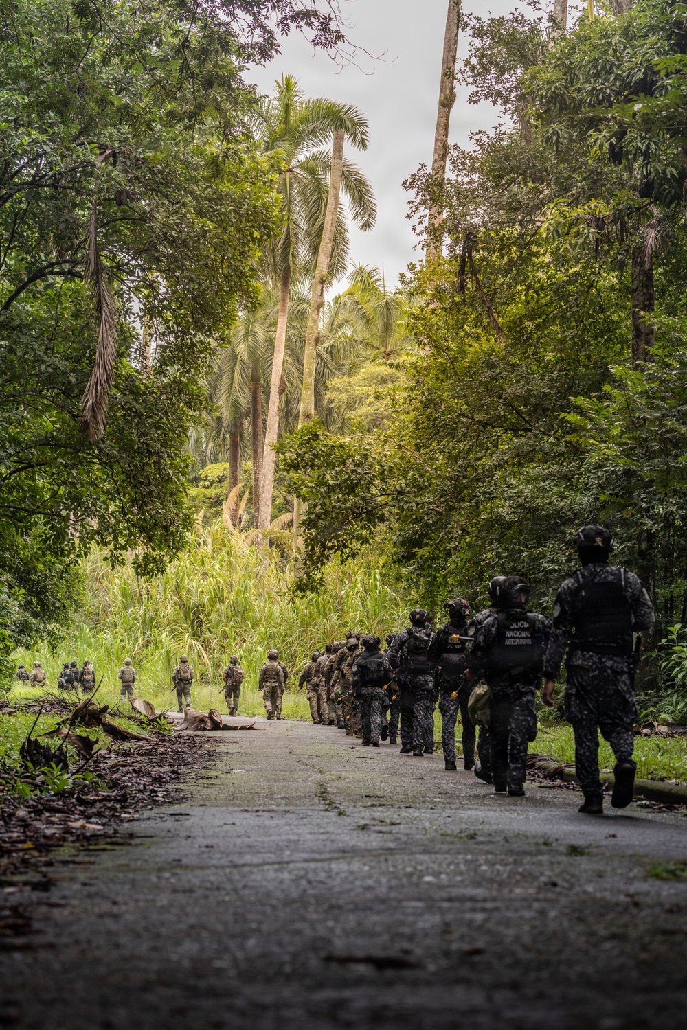 A column of armed security personnel marches along a paved road through dense tropical forest. The group includes individuals wearing vests marked 'POLICIA NACIONAL' alongside others in military-style camouflage uniforms. The formation stretches from the foreground into the distance, suggesting a large-scale operation or patrol.