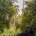 A column of armed security personnel marches along a paved road through dense tropical forest. The group includes individuals wearing vests marked 'POLICIA NACIONAL' alongside others in military-style camouflage uniforms. The formation stretches from the foreground into the distance, suggesting a large-scale operation or patrol.