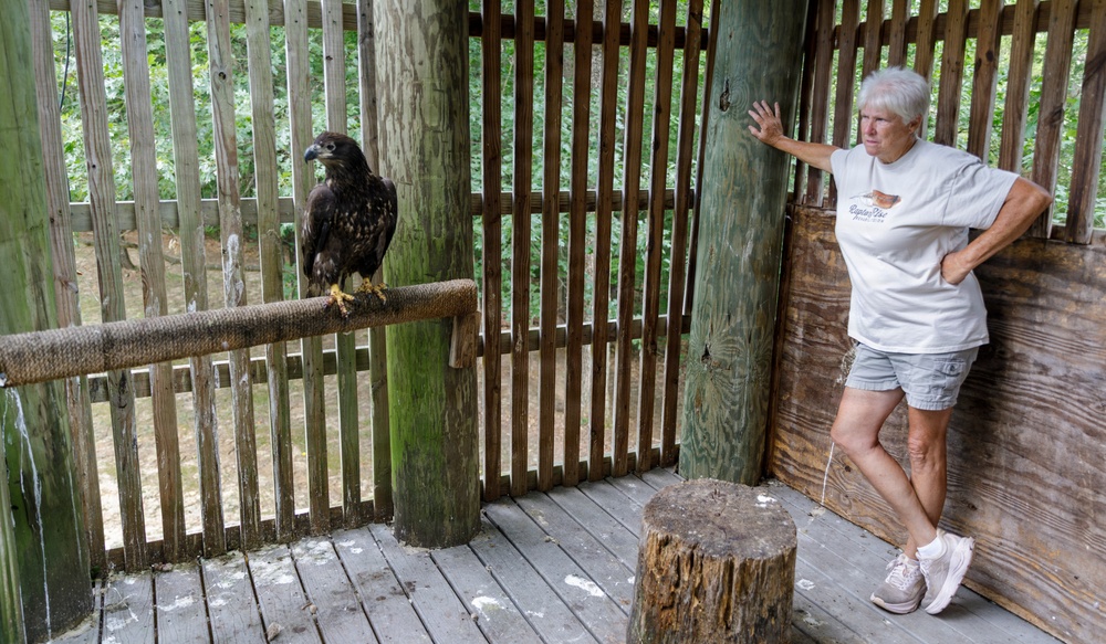 A woman with short white hair stands inside a wooden enclosure, leaning against a slatted wall while observing a large dark bird of prey perched on a wooden railing. The setting appears to be a wildlife rehabilitation center or zoo exhibit. The bird, likely a juvenile bald eagle based on its dark brown plumage and size, is perched calmly on a rope-wrapped post.