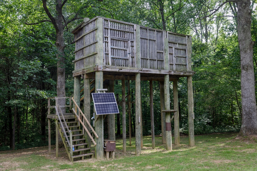 A large elevated wooden platform structure stands in a wooded area, supported by multiple tall wooden posts. The structure features vertical wooden slat walls forming an enclosed upper level, accessible via a wooden staircase on the left side. A solar panel is mounted near the base, suggesting the structure has some electrical power needs.