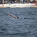 2-158th AHB Overwater Self-Recovery Training