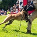 Travis AFB hosts 2026 National Night Out