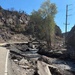 State of Utah and Forest Service Launch Post-Fire Recovery Effort
