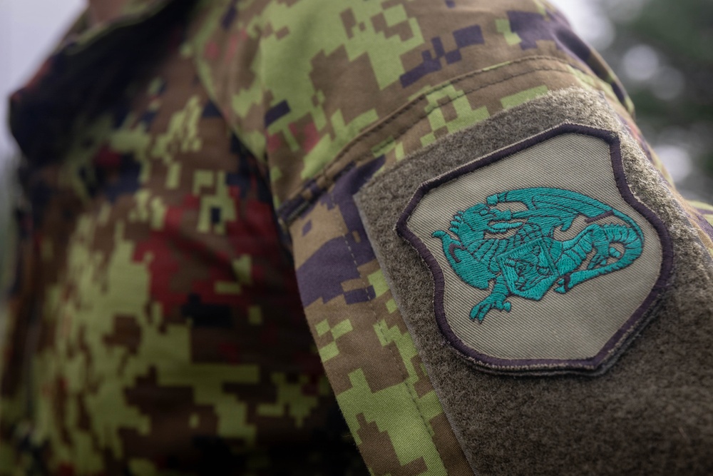 Northern Strike 26-2 | 4th Combat Readiness Regiment Marines and Partner Nations conduct the USMC Combat Fitness Test