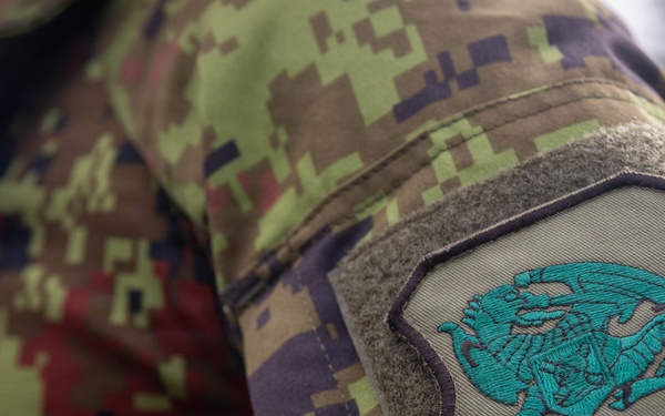 Northern Strike 26-2 | 4th Combat Readiness Regiment Marines and Partner Nations conduct the USMC Combat Fitness Test
