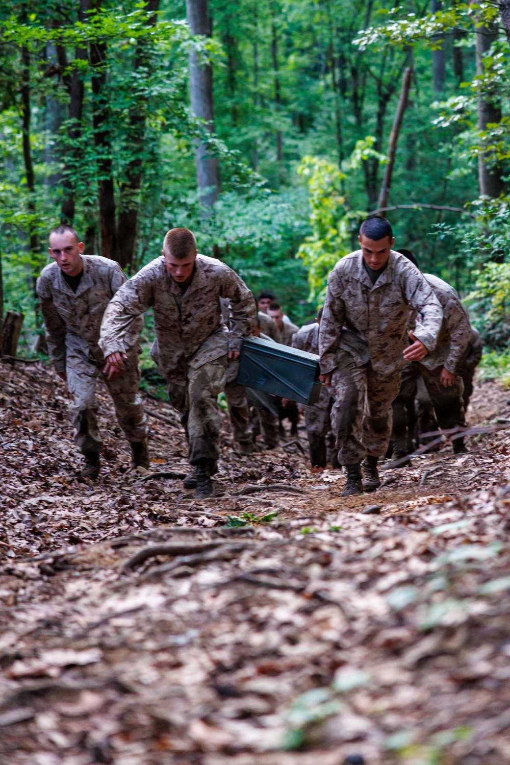 Lima Company conducts the Montford Point Challenge Course at OCS
