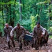 Lima Company conducts the Montford Point Challenge Course at OCS