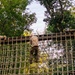 Lima Company conducts the Montford Point Challenge Course at OCS