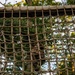 Lima Company conducts the Montford Point Challenge Course at OCS
