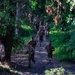 Lima Company conducts the Montford Point Challenge Course at OCS