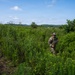 A soldier in full camouflage uniform and tactical gear navigates through dense, overgrown vegetation in what appears to be a field training exercise. The individual is moving through thick brush and tall weeds in a rural, hilly landscape under a partly cloudy sky. The setting suggests a military reconnaissance or patrol training scenario.