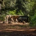 70th Clearance Co. STX