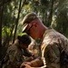 70th Clearance Co. STX
