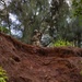 70th Clearance Co. STX