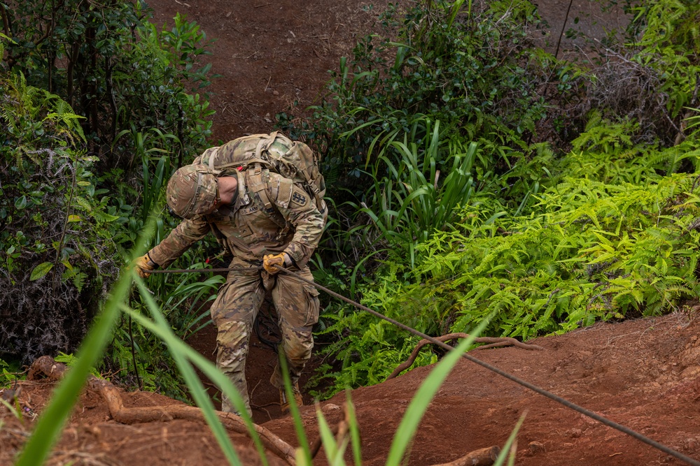 70th Clearance Co. STX