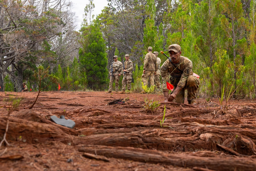 70th Clearance Co. STX