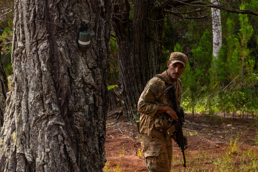 70th Clearance Co. STX