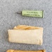 Individual Chemical Prophylactic Pack, circa World War II