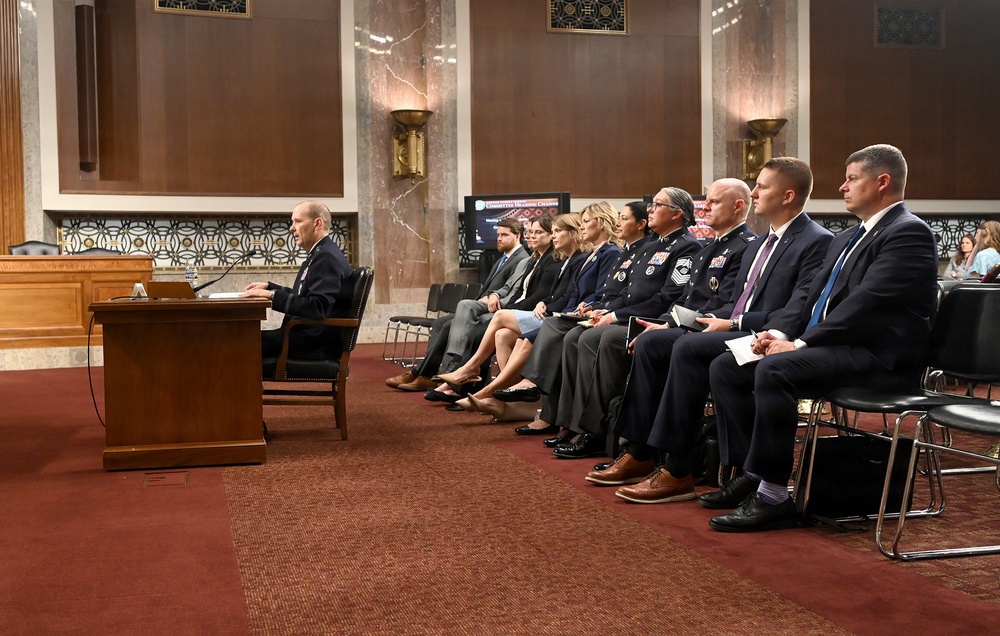 Lt. Gen. Scheiss Testifies Before Senate