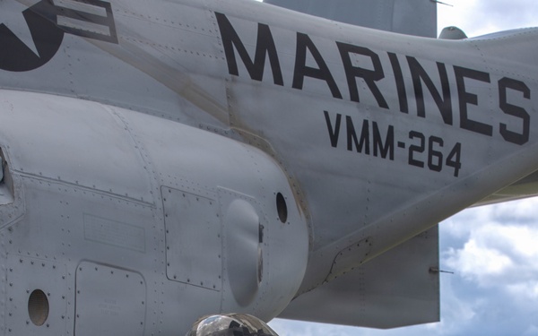 Marine-Army Tactical Refueling Training