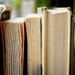 Manual Image