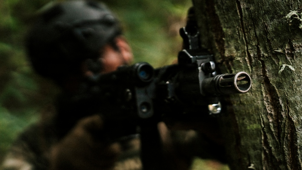 A soldier in camouflage uniform and tactical helmet is positioned behind a tree in a forested environment, aiming a rifle. The weapon is in sharp focus in the foreground while the soldier remains blurred in the background. The scene depicts a tactical cover-and-concealment posture during what appears to be a military exercise or operation.