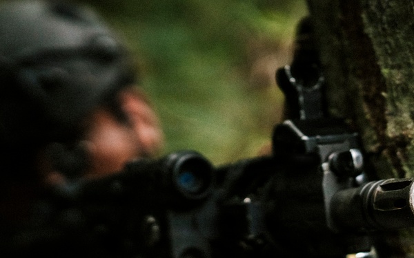 A soldier in camouflage uniform and tactical helmet is positioned behind a tree in a forested environment, aiming a rifle. The weapon is in sharp focus in the foreground while the soldier remains blurred in the background. The scene depicts a tactical cover-and-concealment posture during what appears to be a military exercise or operation.