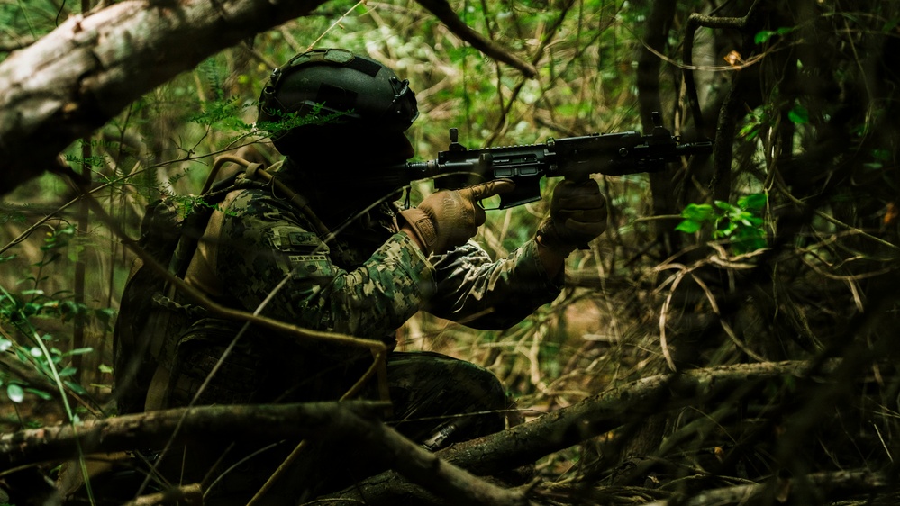 A soldier in full tactical gear is positioned in dense woodland, aiming a rifle while in a crouched concealed position among tree branches and undergrowth. The uniform displays a visible 'MEXICO' patch, identifying the individual as a Mexican military personnel. The image appears to document a military training exercise or operational patrol in a jungle or forest environment.