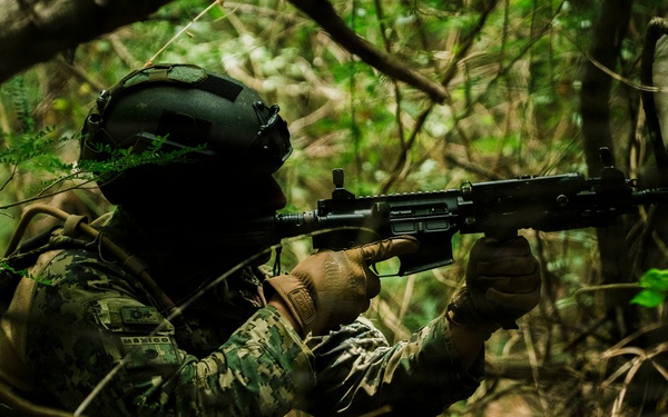 A soldier in full tactical gear is positioned in dense woodland, aiming a rifle while in a crouched concealed position among tree branches and undergrowth. The uniform displays a visible 'MEXICO' patch, identifying the individual as a Mexican military personnel. The image appears to document a military training exercise or operational patrol in a jungle or forest environment.