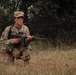 Air Guard medics train for care under fire during Northern Strike 26-2