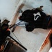 EOD Technicians Conduct Mountain Terrain Drills