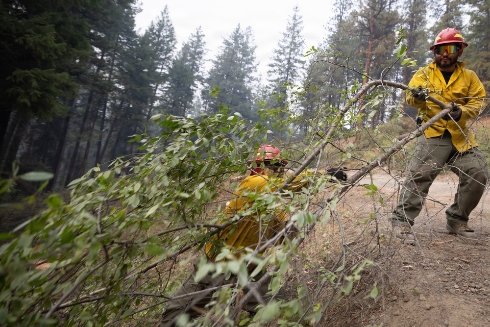 Rowe Creek Complex