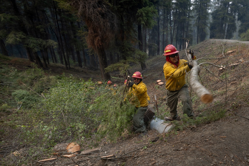Rowe Creek Complex