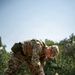 A soldier in OCP (Operational Camouflage Pattern) uniform is leaning over and attending to another soldier lying on a military litter/stretcher on the ground. The standing soldier appears to be performing a medical assessment or treatment on the prone individual during what appears to be a field training exercise. Medical supplies are visible nearby, and both individuals wear military uniforms with visible patches.
