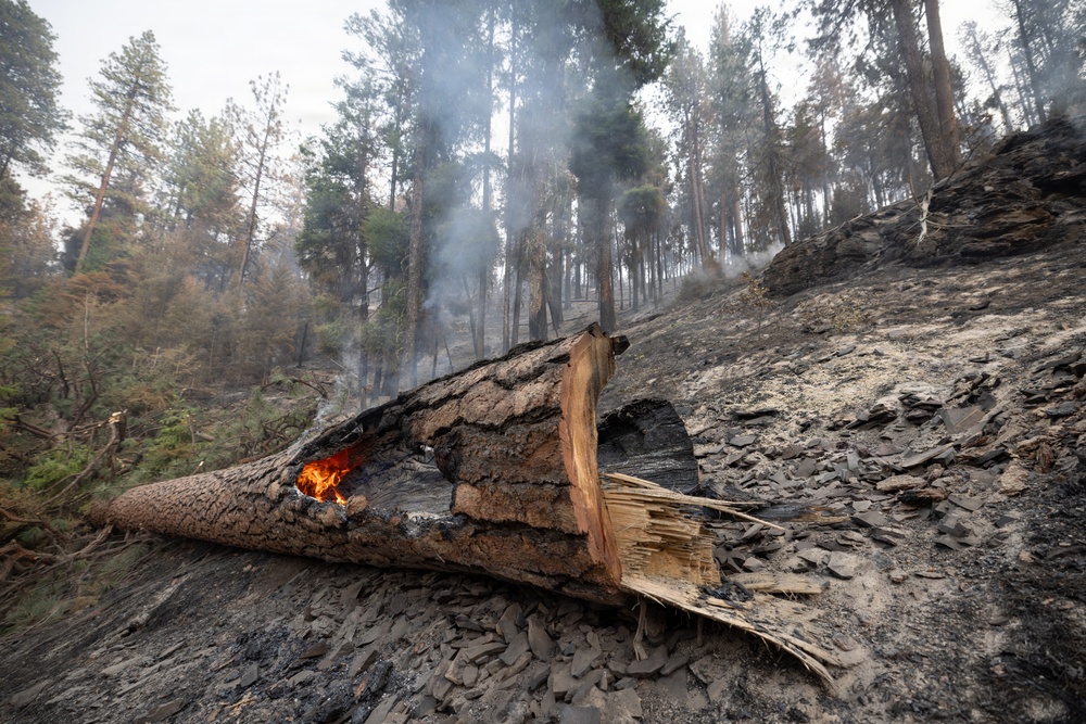 Rowe Creek Complex