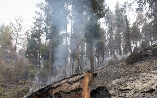 Rowe Creek Complex