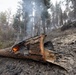 Rowe Creek Complex