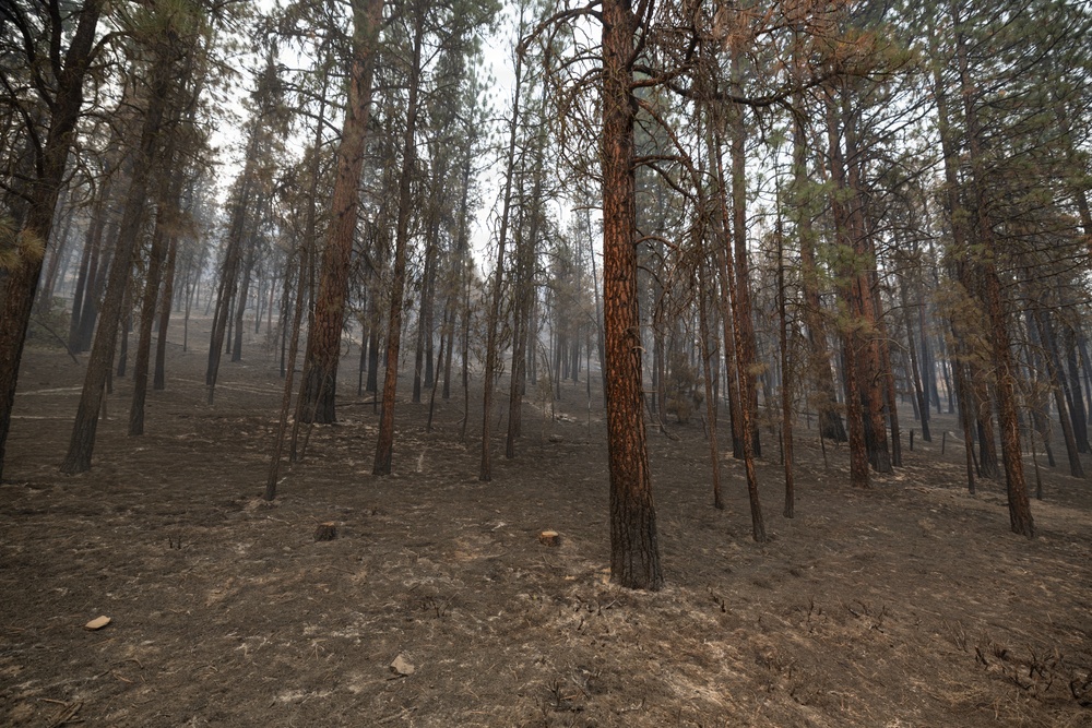 Rowe Creek Complex