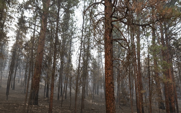 Rowe Creek Complex