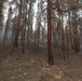 Rowe Creek Complex