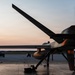 New Mexico-based Airmen operate MQ-9 Reapers at Exercise Zia Sunbird in Michigan